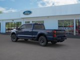 New 2025 Ford F250 Platinum image 4