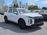 New 2025 Hyundai Palisade XRT image 5