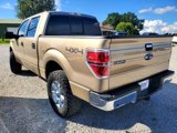 Used 2014 Ford F150 XLT w/ Equipment Group 302A Luxury image 5