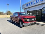 New 2025 Ford F150 XLT w/ Equipment Group 302A MID image 2