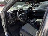 Used 2023 Toyota Tacoma TRD Off-Road image 2