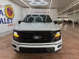 New 2025 Ford F150 XLT w/ Equipment Group 302A MID image 3