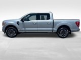 Used 2023 Ford F150 XLT w/ Equipment Group 302A High image 2