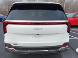 New 2025 Kia Carnival SX image 4
