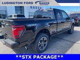 New 2025 Ford F150 STX image 2