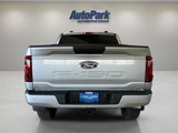 New 2025 Ford F150 STX w/ STX Black Appearance Package image 5