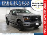 New 2025 Ford F150 XLT image 1