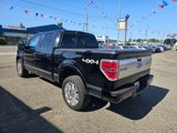 Used 2011 Ford F150 Platinum image 5