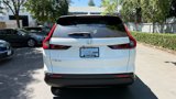 New 2026 Honda CR-V EX-L image 6