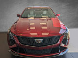 New 2025 Cadillac CT5 V Blackwing w/ Carbon Fiber 1 Package image 3