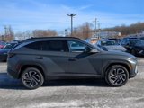 New 2025 Hyundai Tucson Limited image 2