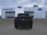 New 2025 Ford F150 XLT w/ Equipment Group 302A MID image 5