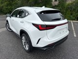 New 2026 Lexus NX 350h AWD w/ Premium Package image 4