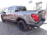 New 2025 Ford F150 XLT image 3