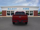 New 2025 Ford F150 XLT w/ Equipment Group 302A MID image 6