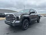 New 2025 Toyota Tundra Platinum image 3