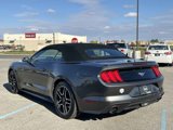 Used 2020 Ford Mustang Premium image 5