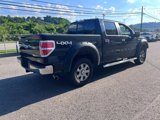 Used 2013 Ford F150 XLT w/ Luxury Equipment Group image 6