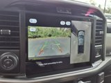 New 2025 Ford F150 Platinum w/ Equipment Group 702A High image 6