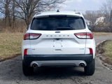 Used 2020 Ford Escape SE image 6