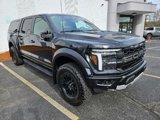 Certified 2024 Ford F150 Raptor image 3