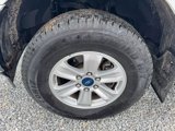 Used 2019 Ford F150 XLT w/ Equipment Group 301A Mid image 3