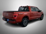 Used 2023 Ford F150 XLT w/ Equipment Group 302A High image 5