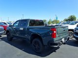 New 2026 Chevrolet Silverado 1500 Custom Trail Boss w/ Dark Appearance Package image 3