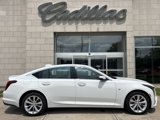 Certified 2025 Cadillac CT5 Premium Luxury w/ Technology Package image 3