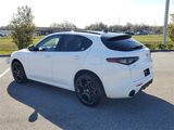 New 2025 Alfa Romeo Stelvio Tributo Italiano image 3