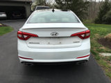 Used 2015 Hyundai Sonata Limited w/ Option Group 05 image 5
