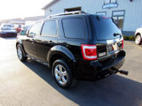 Used 2010 Ford Escape Limited image 3