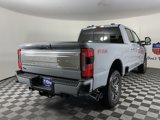 New 2025 Ford F250 Platinum image 3