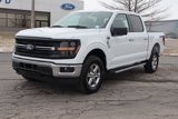 New 2025 Ford F150 XLT w/ Equipment Group 301A Standard image 2
