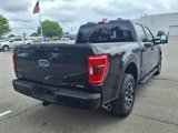 Used 2023 Ford F150 XLT w/ Equipment Group 302A High image 4