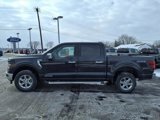 New 2025 Ford F150 XLT w/ Equipment Group 302A MID image 2