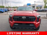 Used 2024 Toyota Tacoma TRD Off-Road image 2