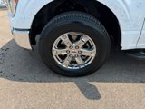 Used 2023 Ford F150 XLT w/ Equipment Group 302A High image 2