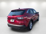 Used 2020 Ford Escape SE image 5