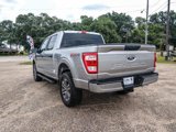 Certified 2021 Ford F150 XL w/ STX Appearance Package image 2