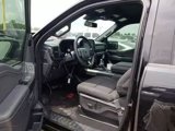 Used 2024 Ford F150 XLT w/ Equipment Group 302A MID image 2