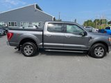 Used 2021 Ford F150 XLT w/ Equipment Group 302A High image 5