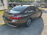 Used 2017 Honda Accord EX-L image 6