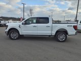 New 2025 Ford F150 XLT w/ Equipment Group 302A MID image 6