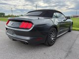 Used 2016 Ford Mustang Convertible image 4