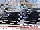 View Video