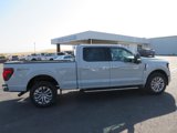 New 2024 Ford F150 XLT w/ Equipment Group 303A High image 6
