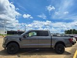 New 2025 Ford F150 Platinum image 2