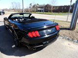 Used 2019 Ford Mustang Premium w/ Equipment Group 201A image 5