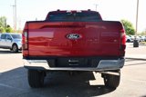 New 2025 Ford F150 XLT w/ Equipment Group 303A High image 5